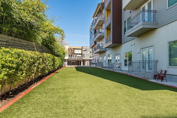 MAA East Austin apartments in Austin TX