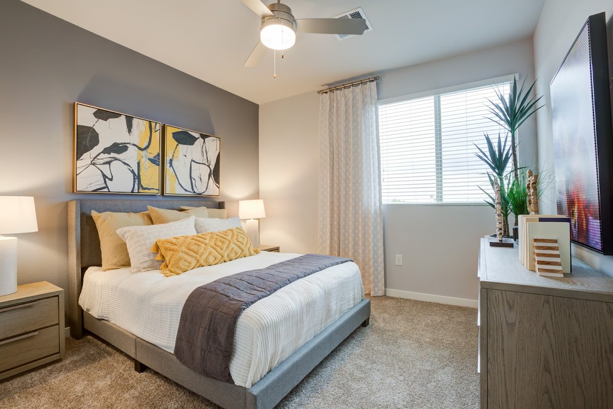 Lucent Scottsdale Apartments apartments in Scottsdale AZ