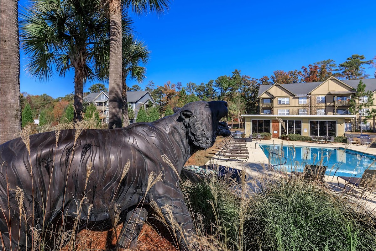 Paces at the Estates Apartments apartments in Auburn, AL