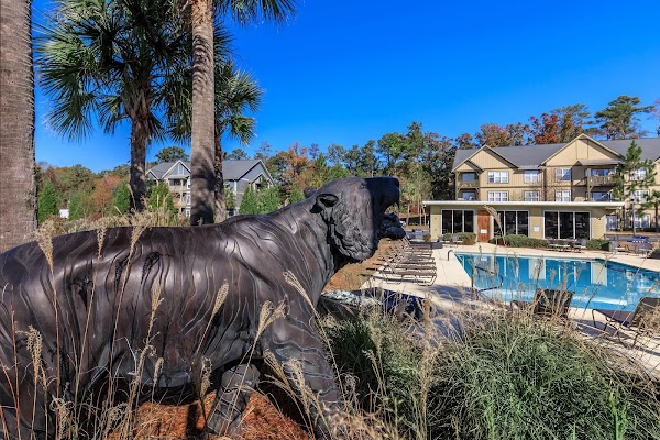 Paces at the Estates Apartments apartments in Auburn, AL