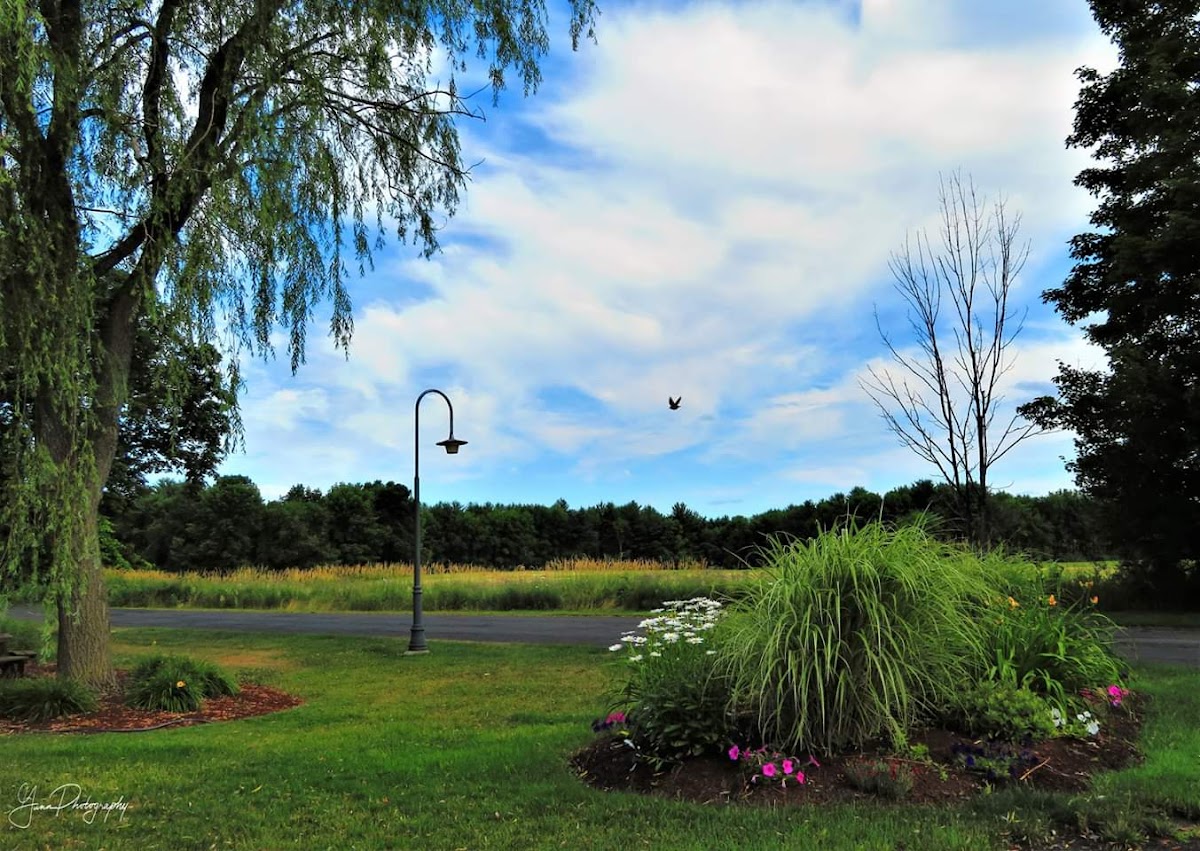 College Highway Apartments apartments in Agawam, MA