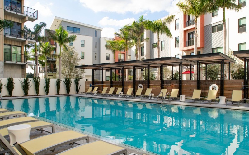 The Pearl Apartments apartments in Tampa FL